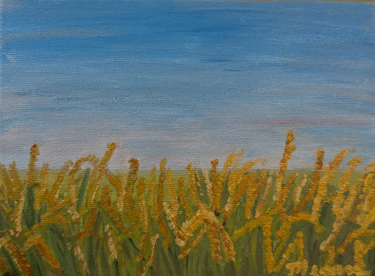 Rice Field